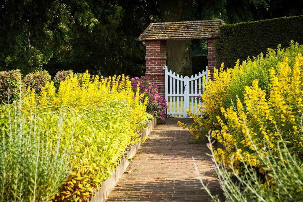 Chateau De Bouelles Bed & Breakfast Neufchatel-en-Bray Exterior photo
